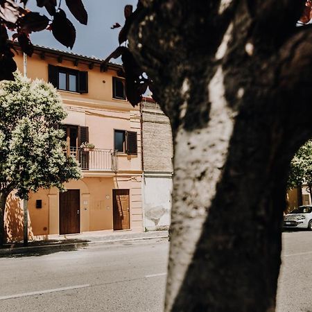 B&B La Cicala Vasto Εξωτερικό φωτογραφία